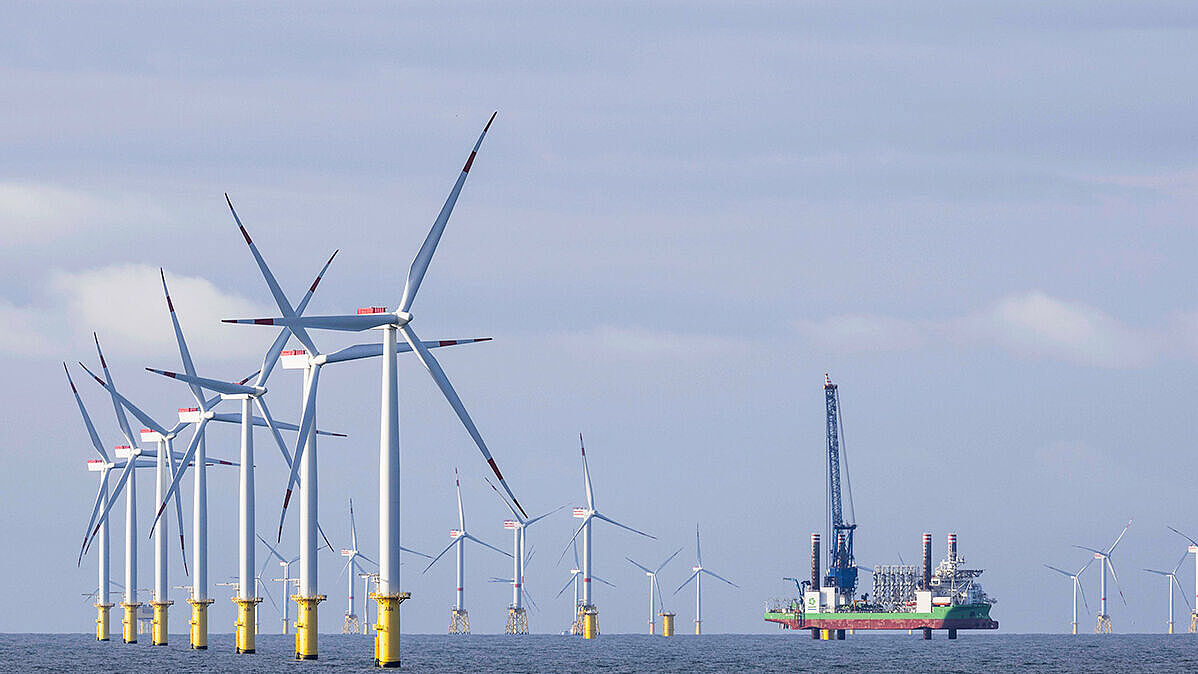 8. Greifswalder Gespräch „Marine Biodiversität und marine Nutzungen: rechtliche Steuerung (EU RED III und UN-BBNJ)“ | 30.6.2025, 16:30-19.45 Uhr | IOW, Rostock (Hybridveranstaltung)