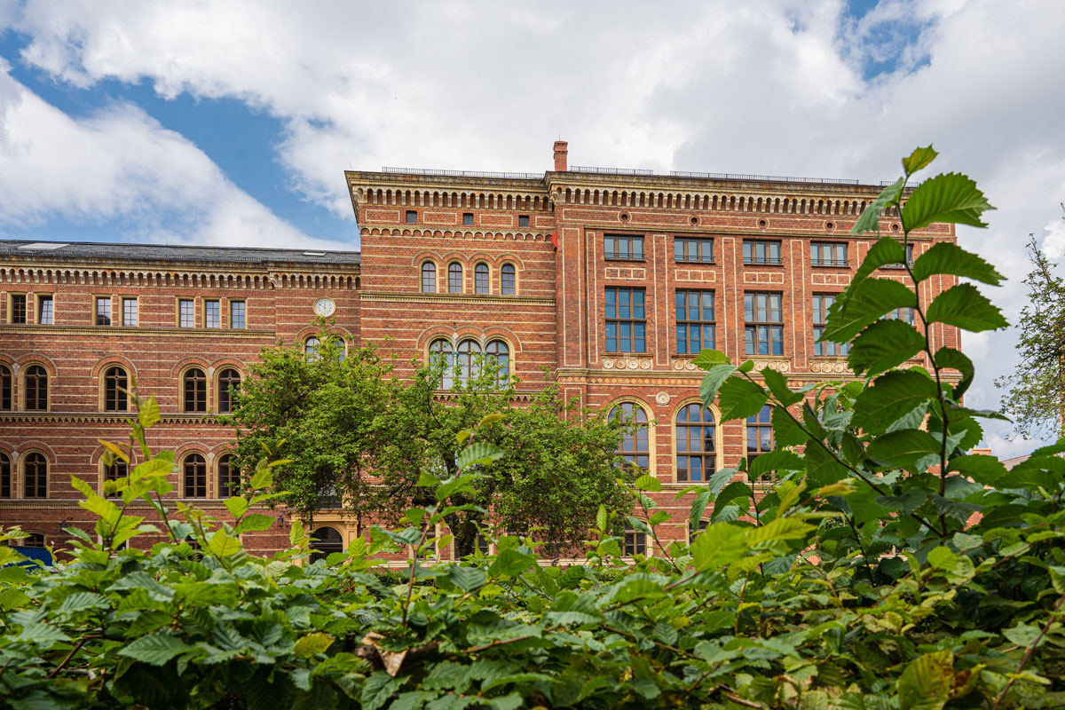 Jura und Wirtschaft in Greifswald studieren
